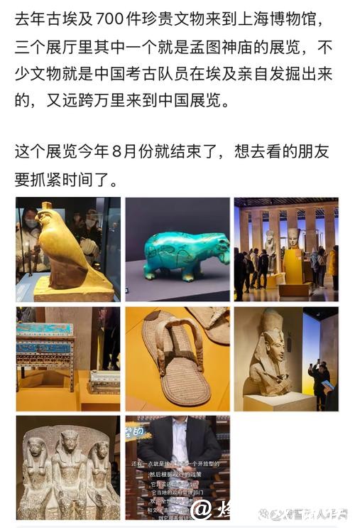 中埃联合考古成果丰硕